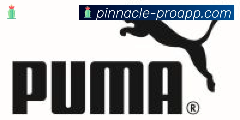 平博pinnacle体育合作伙伴